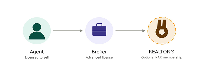 Real Estate Broker